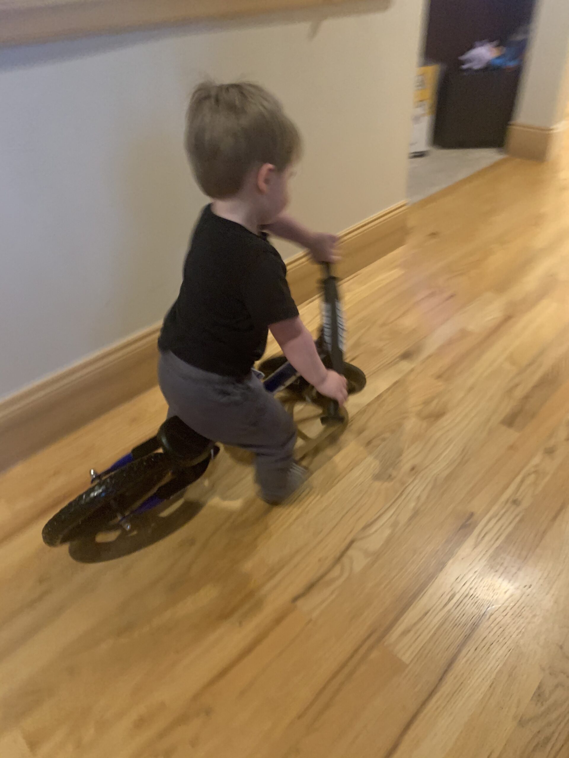 Strider 12 inch Sport Bike - No Pedal Balance Bicycle for Kids 1 to 4 Years - Includes Safety Pad, Padded Seat, Mini Grips & Flat-Free Tires - Tool-Free Assembly & Adjustments customer photo 1