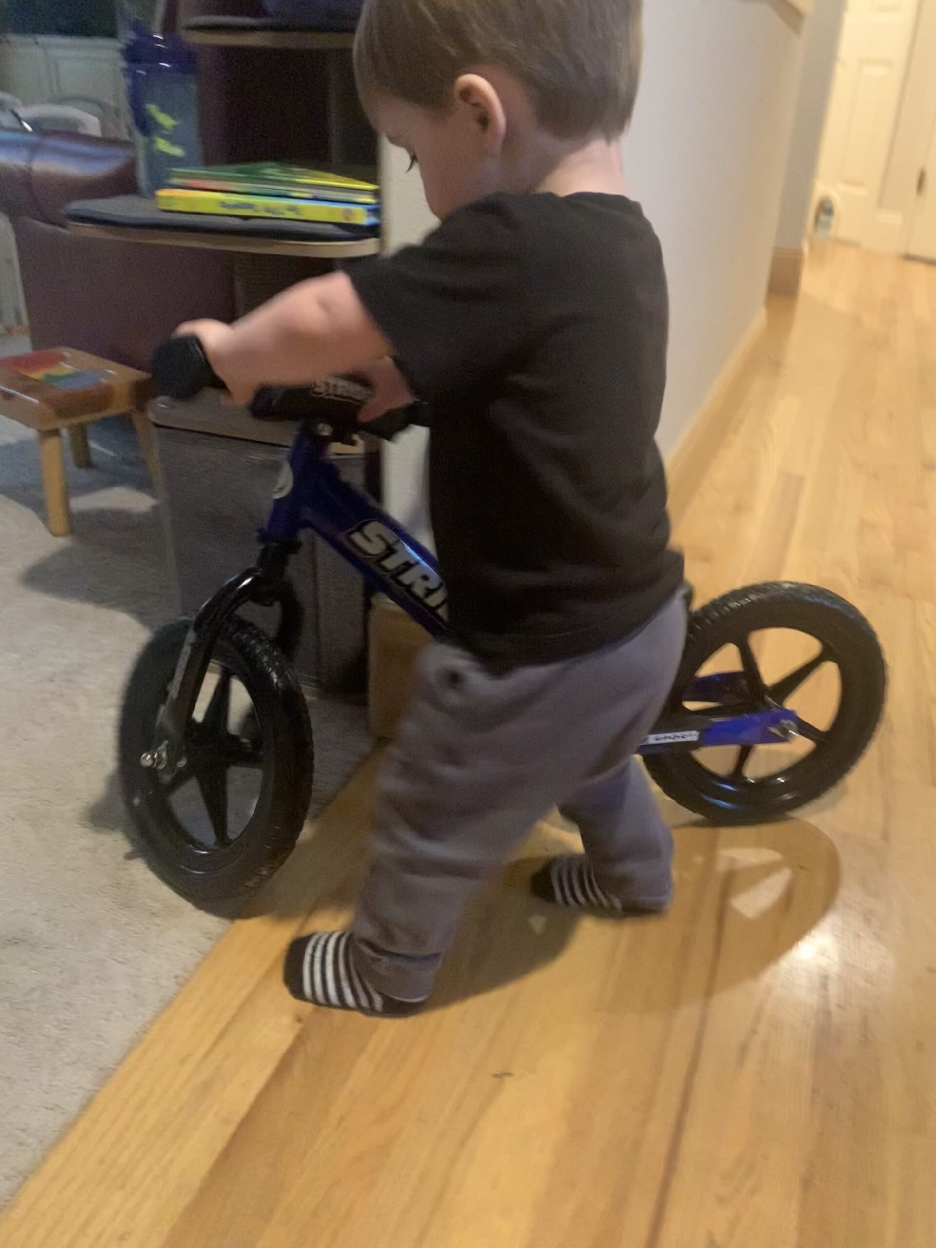 Strider 12 inch Sport Bike - No Pedal Balance Bicycle for Kids 1 to 4 Years - Includes Safety Pad, Padded Seat, Mini Grips & Flat-Free Tires - Tool-Free Assembly & Adjustments customer photo 2