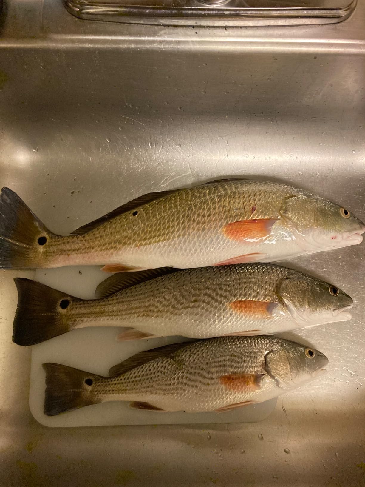 Bomber Lures Mullet Slow-Sinking Twitch/Walking Saltwater Fishing Lure - Excellent for Speckled Trout, Redfish, Stripers and More, 3 1/2 Inch, 5/8 Ounce customer photo 1