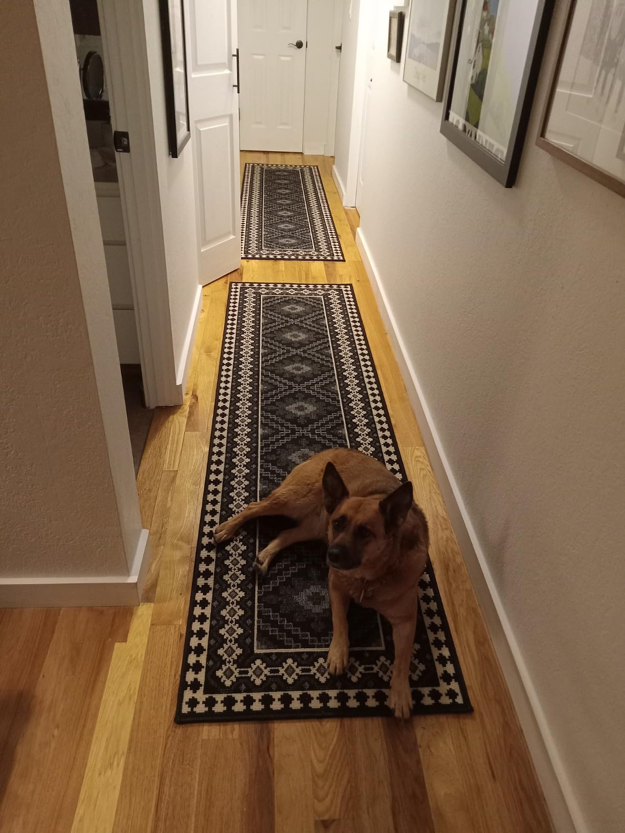 SAFAVIEH Washable Rug Outdoor Veranda Collection - 8' x 11', Black & Cream, Non-Shedding & Easy to Clean, Ideal for Patio, Backyard, Mudroom (VER099-0421) customer photo 1
