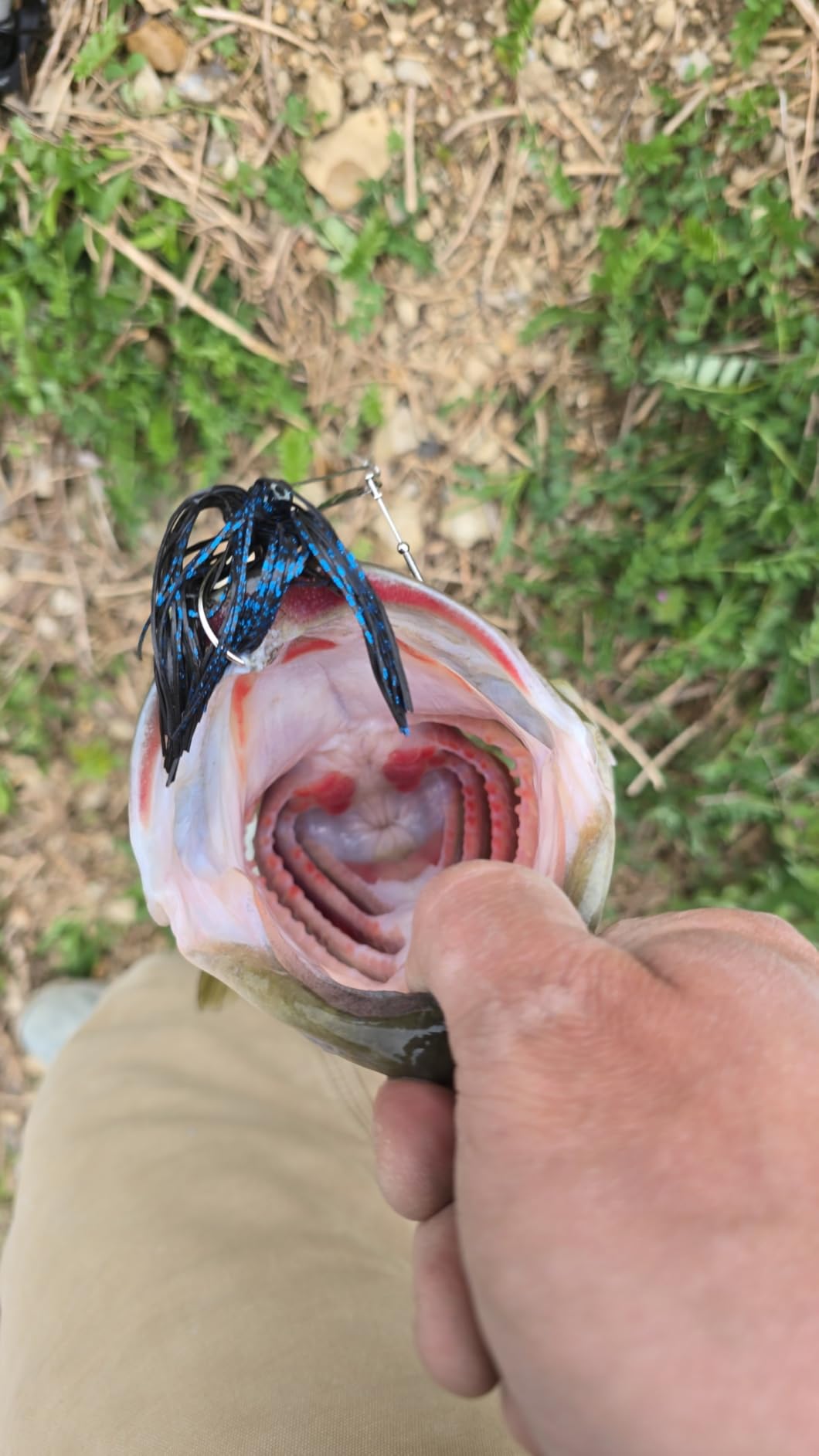 Nichols Lures Pulsator Metal Flake Double Willow Spinnerbait customer photo 1
