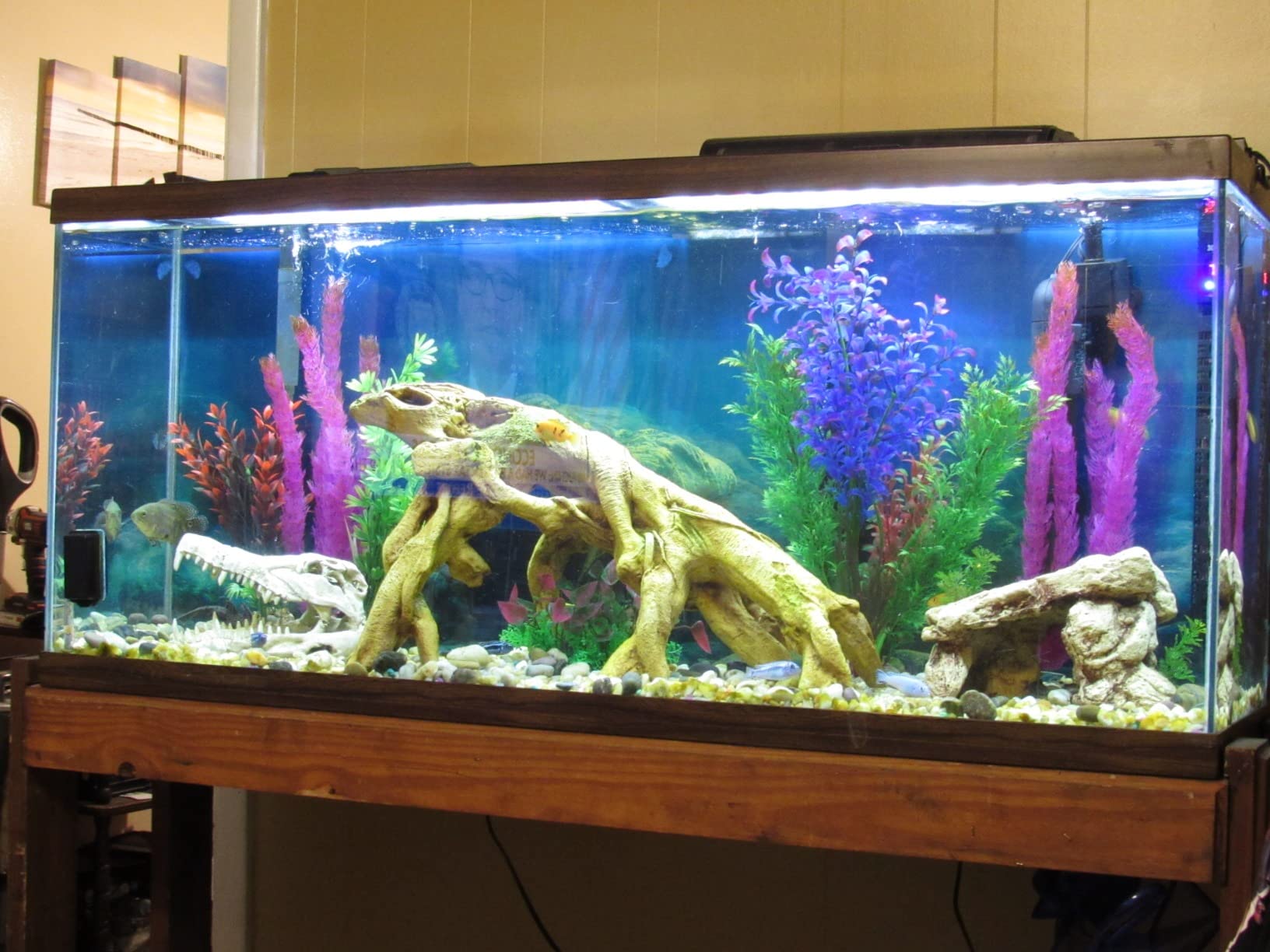 Fluval FX4 High Performance Aquarium Filter - Up to 250 Gallons customer photo 2