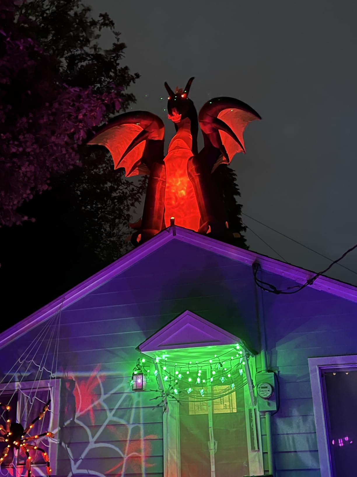 Gemmy 50202 Animated Airblown Fire and Ice Dragon, 9 Foot customer photo 2