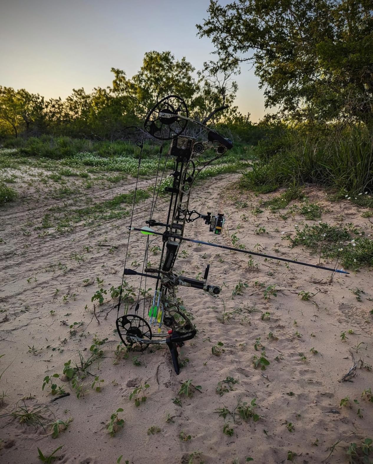 Trophy Ridge React Pro 5 Pin Bow Sight - Tool Less Windage and Elevation Adjustability, 2nd/3rd Axis Leveling, Adjustable Click Light, Glow Ring customer photo 2