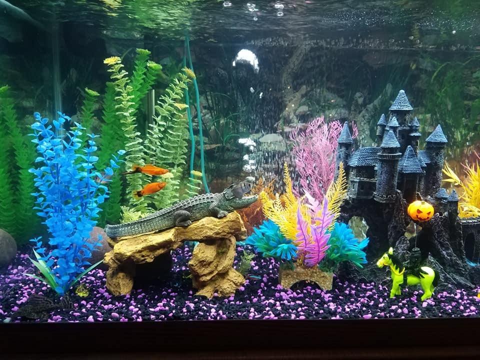 Marineland Magniflow Canister Filter for Aquariums - Fast Maintenance customer photo 2