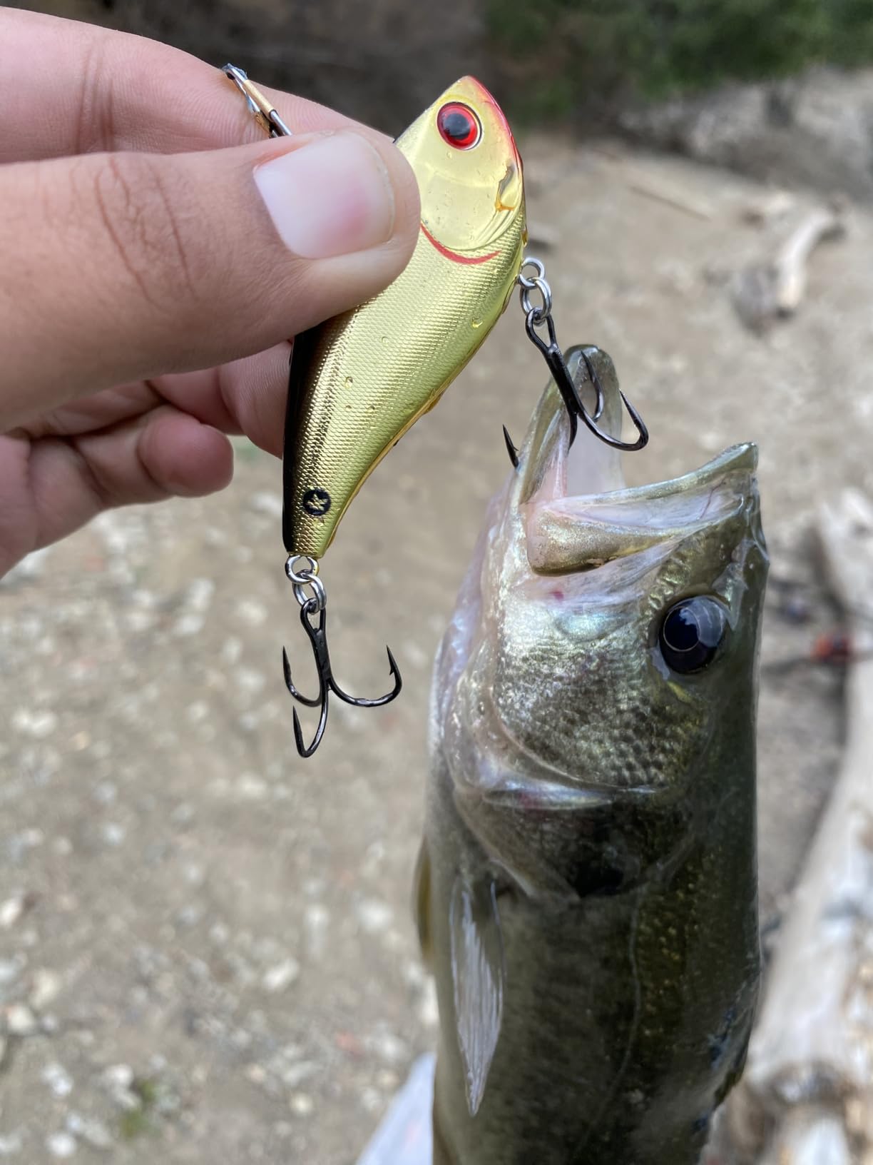 BOOYAH One Knocker Bass Fishing Crankbait Lure customer photo 2