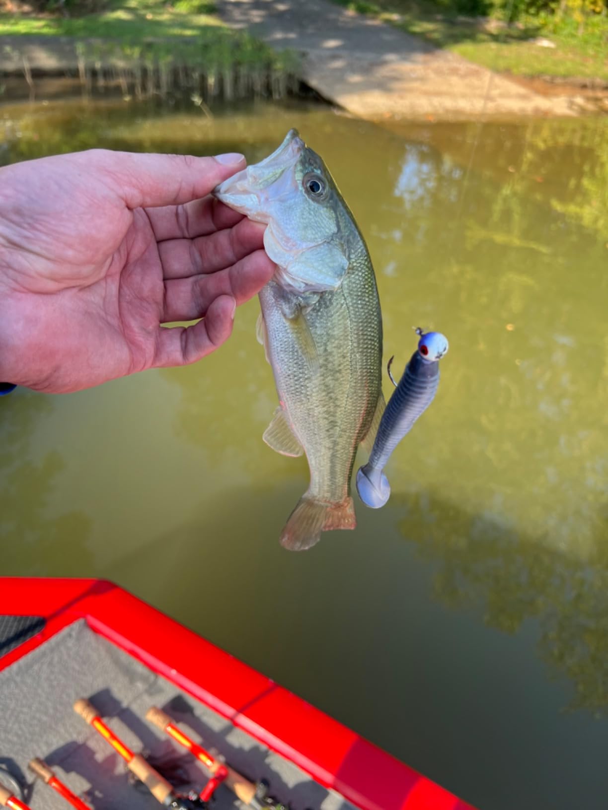 Strike King Rage Swimmer Fishing Lure, Soft Plastic Paddletail Minnow, Sleek Nose Cone, Softly Ribbed Body, Thin Tail customer photo 2