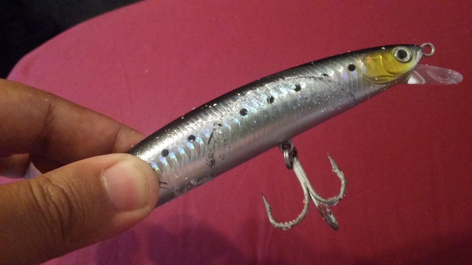 Daiwa Salt Pro Minnow customer photo 1