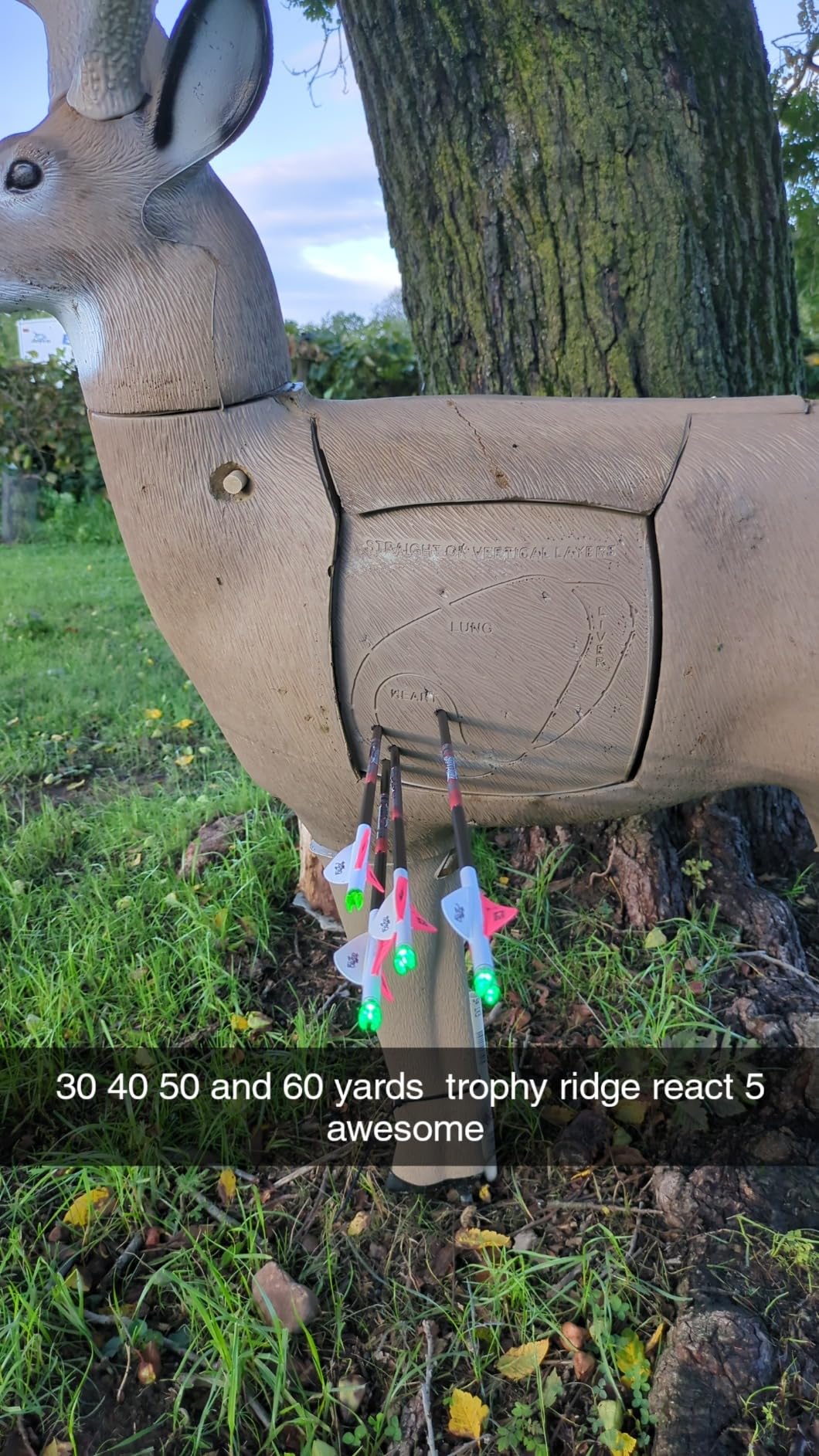 Trophy Ridge React H5 Bow Sight - 5 Pin Sight, Tool Less Windage and Elevation Adjustability, 2nd Axis Leveling, Adjustable Click Light customer photo 2