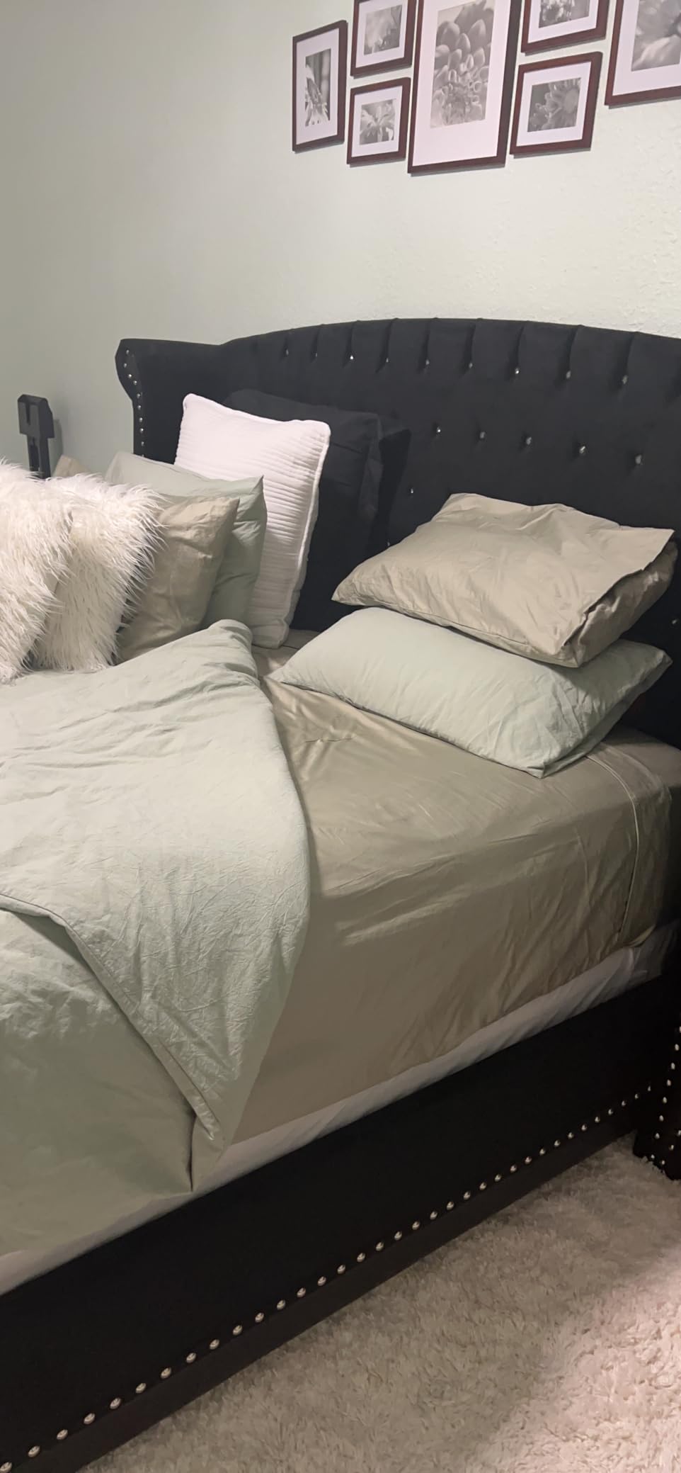 Threadmill Egyptian Cotton Queen Sheet Set | 100% Certified Egyptian Cotton Sheets for Queen Size Bed | Queen Bed Sheets Set with Snug Fit 16