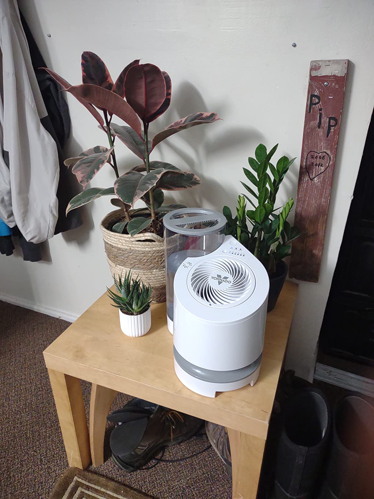 Vornado EV200 Evaporative Whole Room Humidifier with SimpleTank, 1.5 Gallon Capacity, 1,000 sq ft Coverage, Electronic Humidistat customer photo 1