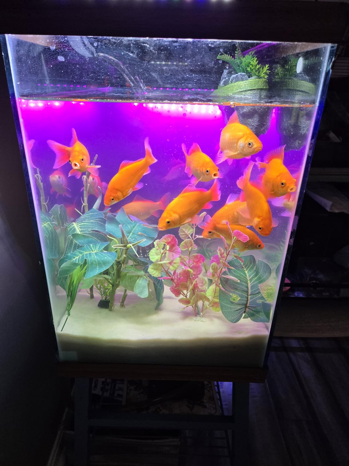 Aqueon QuietFlow Canister Aquarium Filter - Up to 55 Gallons customer photo 1