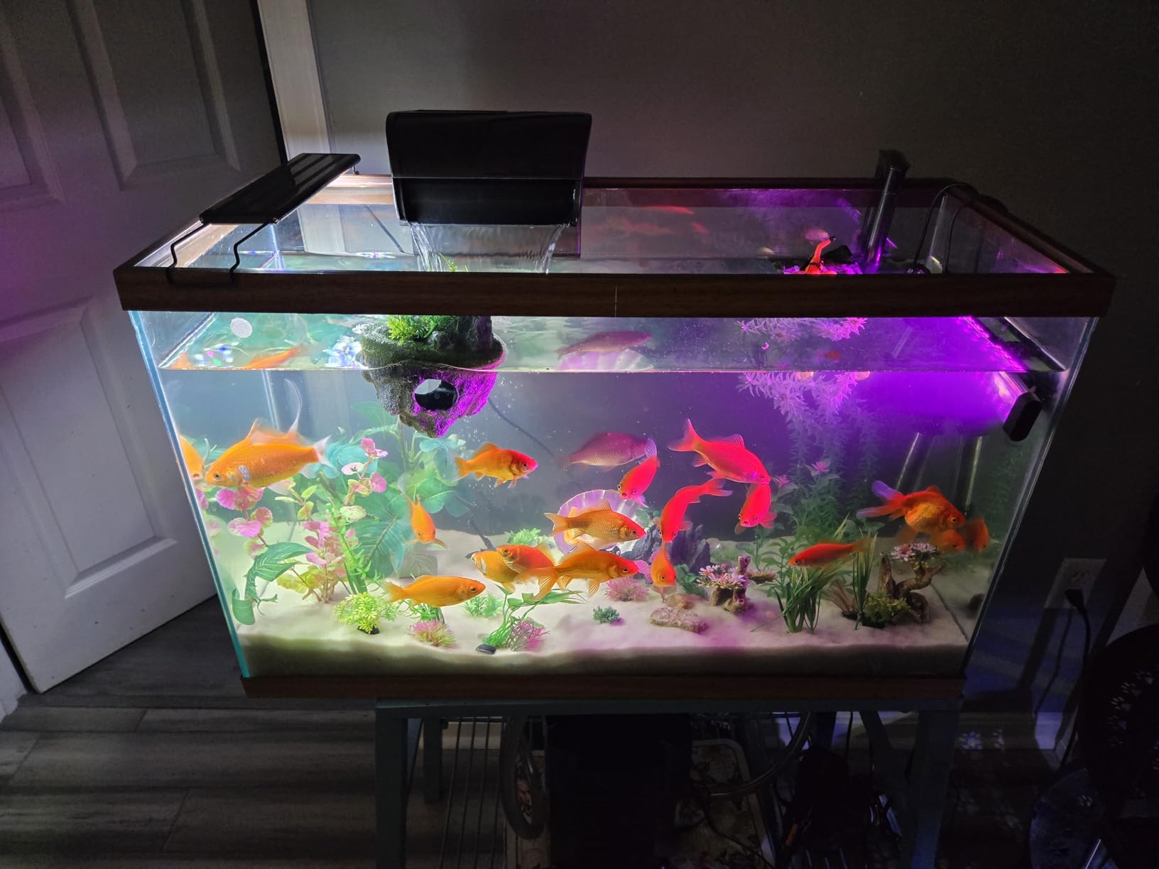 Aqueon QuietFlow Canister Aquarium Filter - Up to 55 Gallons customer photo 2