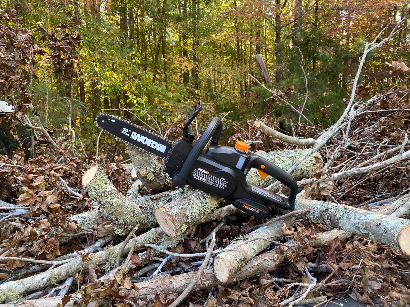 WORX WG322 20V Power Share 10