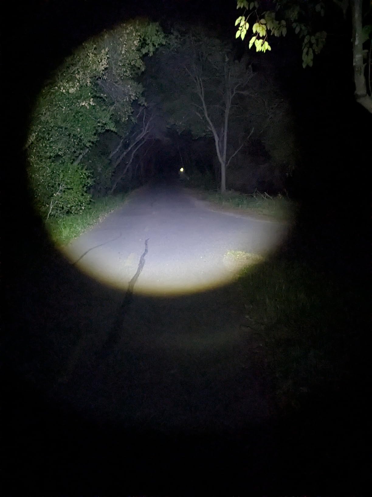 DanForce Headlamp USB Rechargeable LED Head Lamp Ultra Bright 1080 Lumen customer photo 2