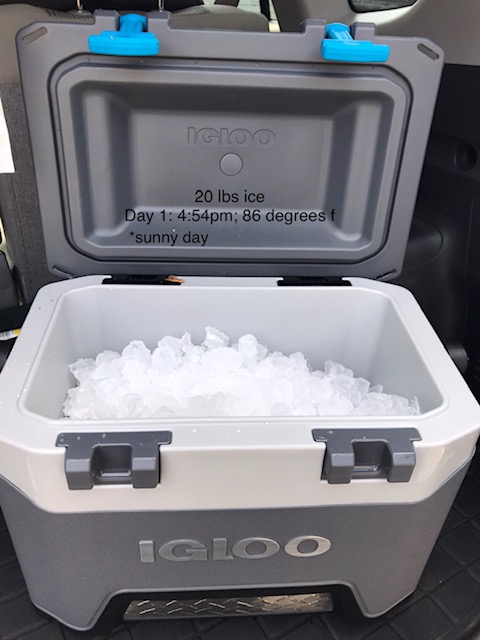 Igloo BMX Cooler customer photo 1