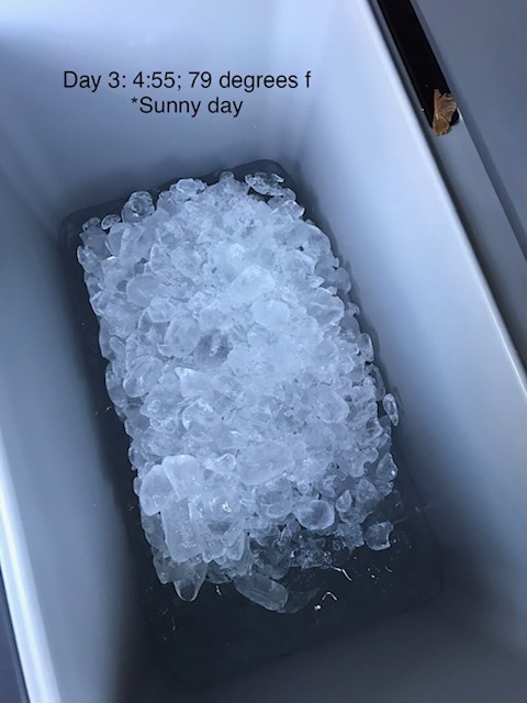 Igloo BMX Cooler customer photo 2