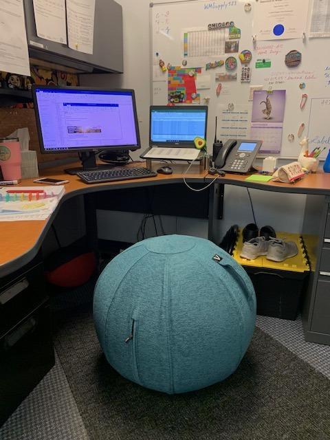 Vivora Luno - Sitting Ball Chair for Office and Home, Lightweight Self-Standing Ergonomic Posture Activating Exercise Ball Solution with Handle & Cover, Classroom & Yoga, Standard customer photo 2