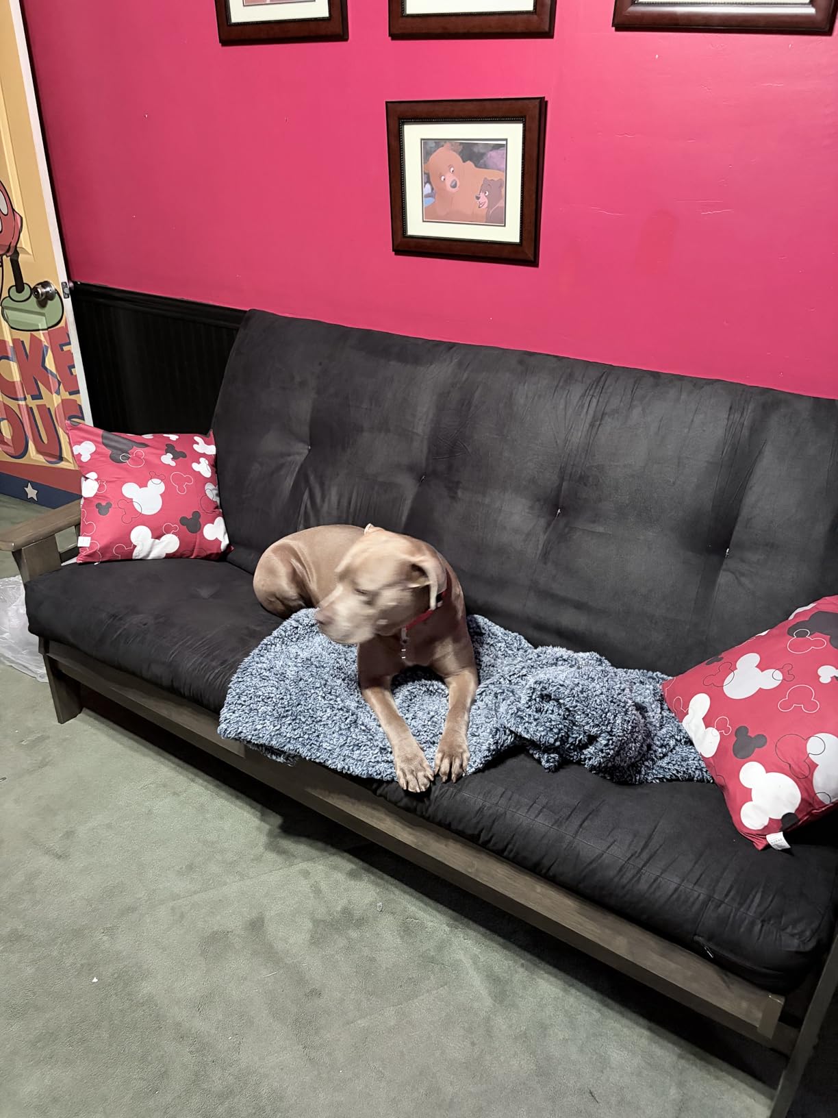 Kodiak Furniture Tucson Full Size Futon Set in Rustic Walnut Finish, Suede Navy customer photo 1