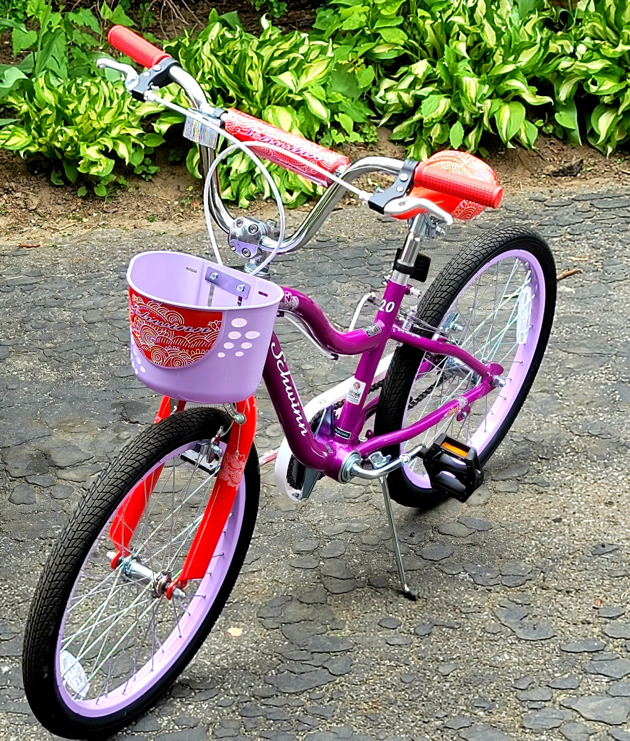 Schwinn Koen & Elm Big Kid Bike customer photo 2