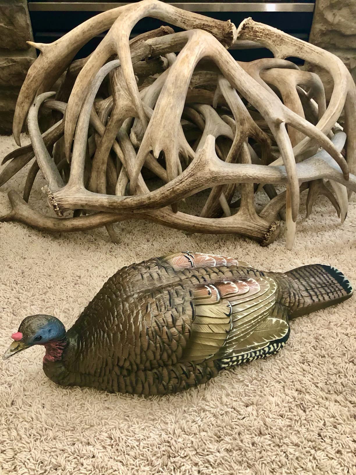 Higdon Outdoors Hard Body Hen Turkey Decoy | Light Weight & Durable Full Body Decoy for Turkey Hunting | Convenient Carry Bag & Stake | Ultra Realism to Attract Toms & Gobblers customer photo 1