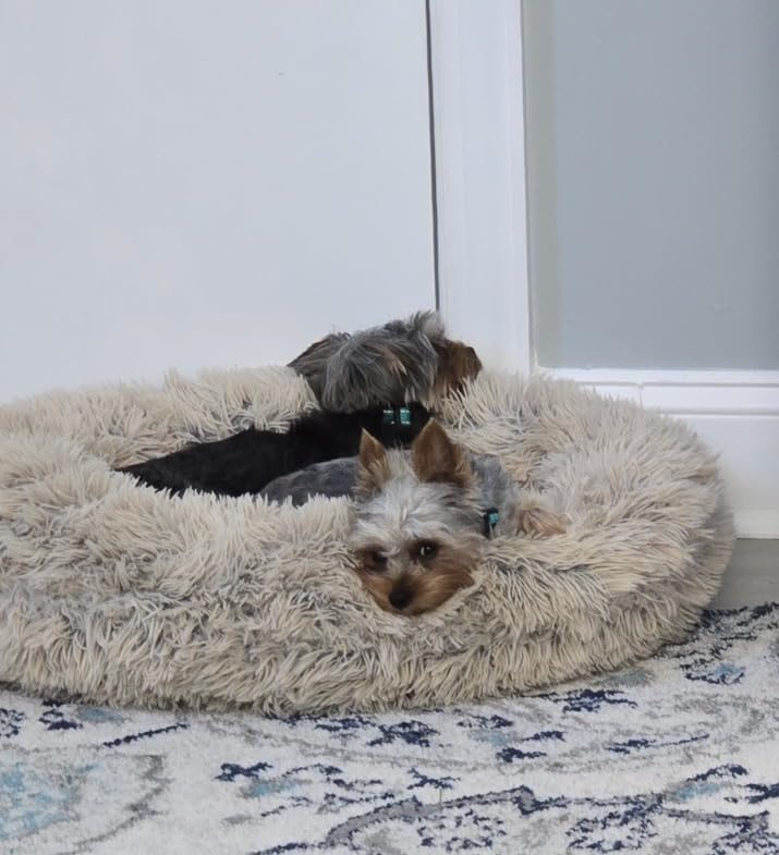 Best Friends by Sheri The Original Calming Donut Dog Bed for Medium Dogs up to 45 lbs, Shag Faux Fur, Taupe, Medium, 30