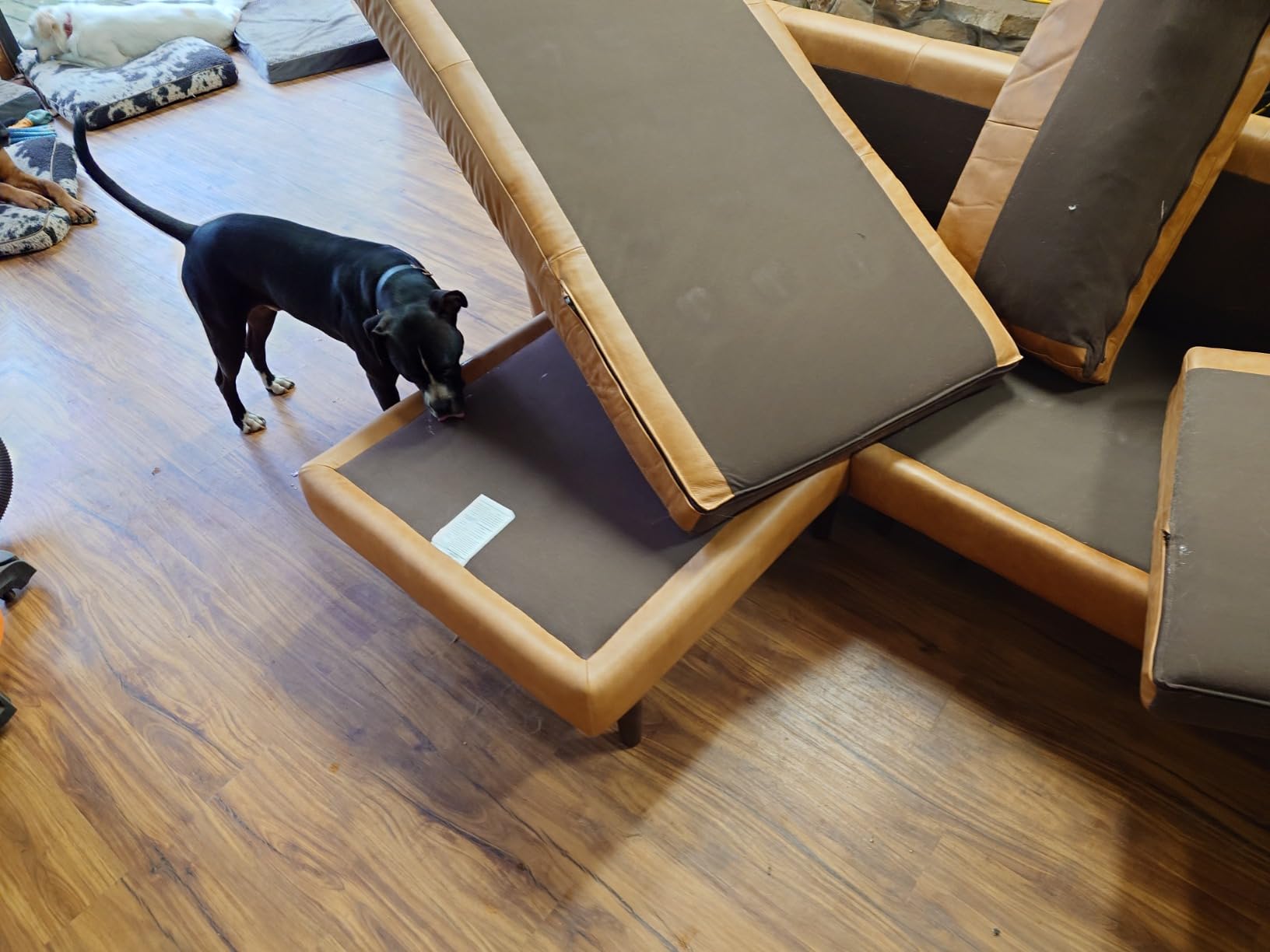 POLY & BARK Napa 104.5