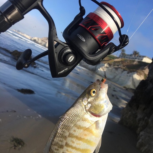 Penn Fierce III Spinning Inshore Fishing Reel customer photo 1