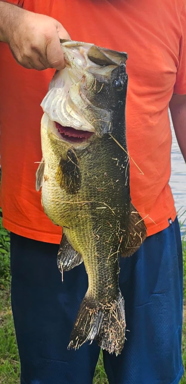 Shimano SLX XT Series Casting Reel customer photo 1