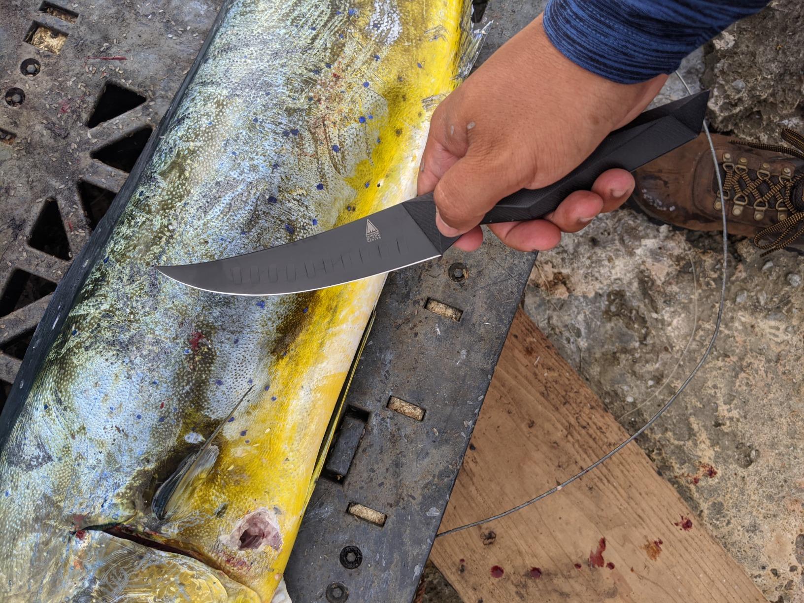 Dalstrong Fillet Knife - 6 inch - Shadow Black Series - Black Titanium Nitride Coated - High Carbon 7CR17MOV-X Vacuum Treated Steel - Meat, Boning Knife - Sheath - NSF Certified customer photo 2