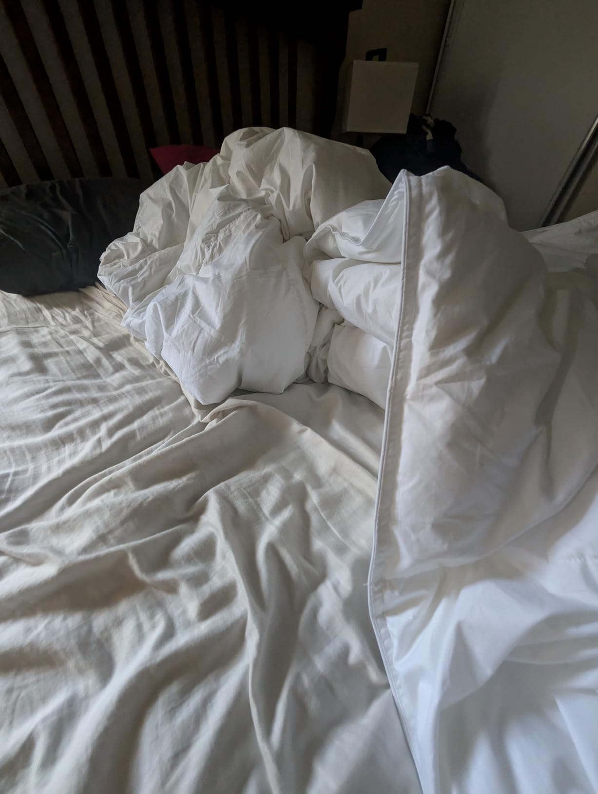 Serta Goose Feather Down Fiber Comforter Queen Size - 100% Cotton Cover Duvet Insert - Hotel Luxury Hypoallergenic Bedding Comforter All Season customer photo 1
