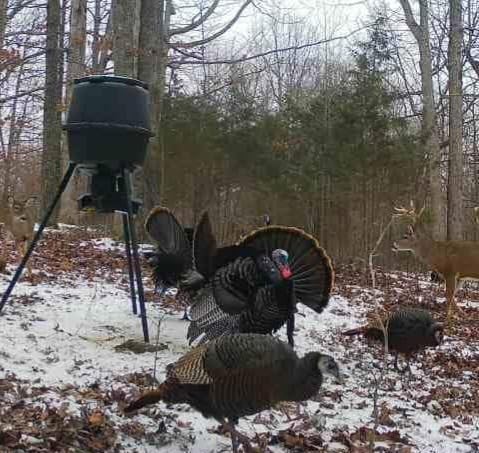 American Hunter WF 30gal Nesting Hopper w/Gravity Feeder, Black, One Size, AH-225GRAV customer photo 1