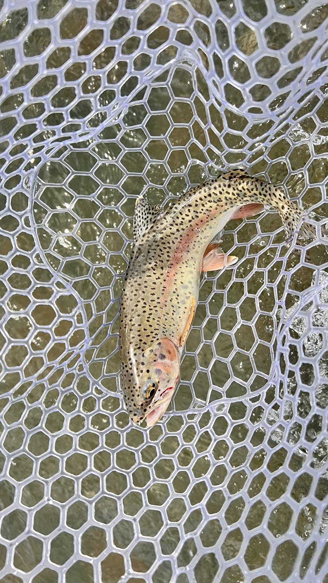 Aventik Fly Floating Fishing Net Carbon Fiber Landing Trout Net Light Weight Clear Rubber Ghost Net Catch & Release customer photo 2
