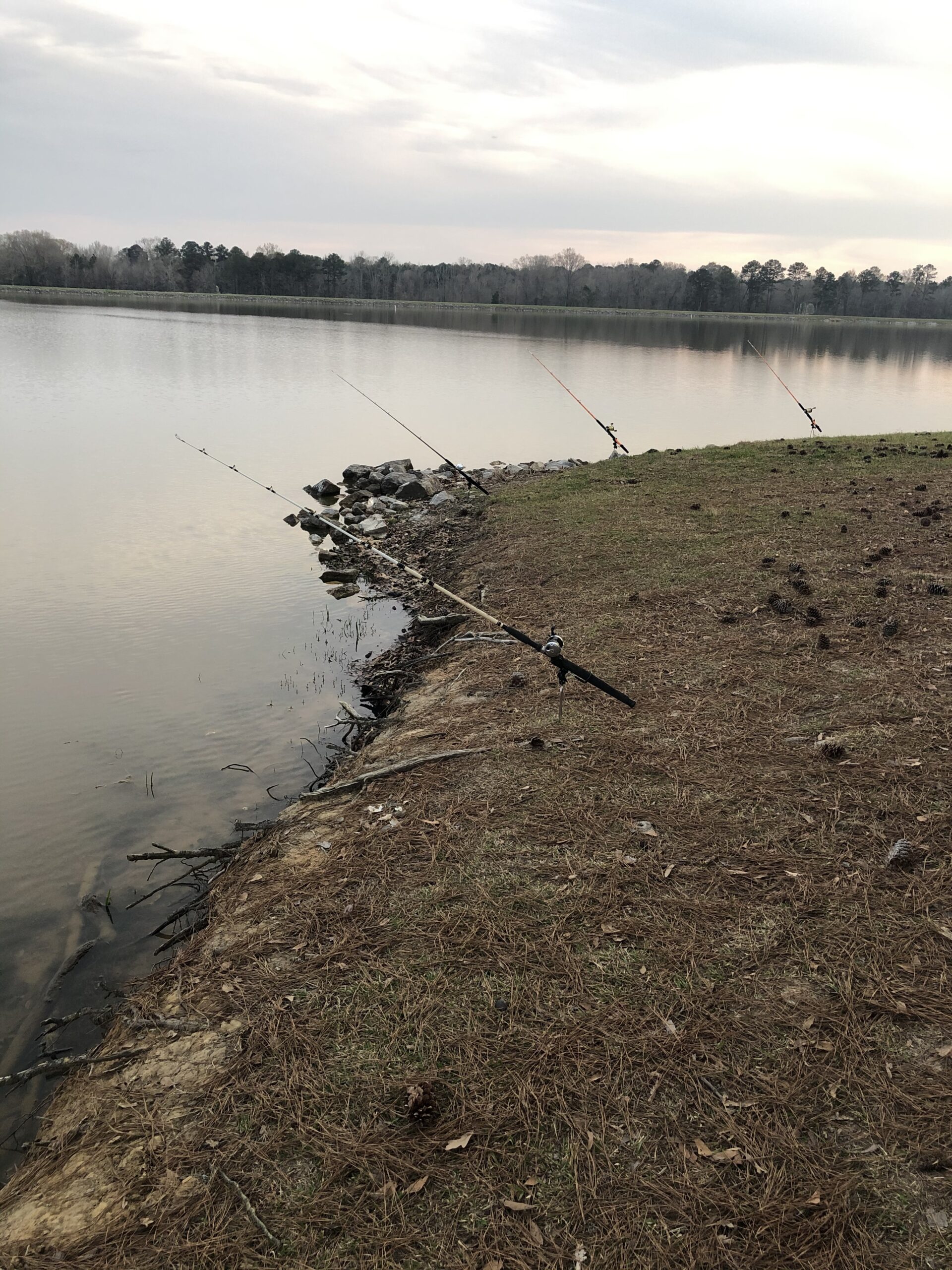 Catfish Pro Tournament Series Casting Rod - 7'6