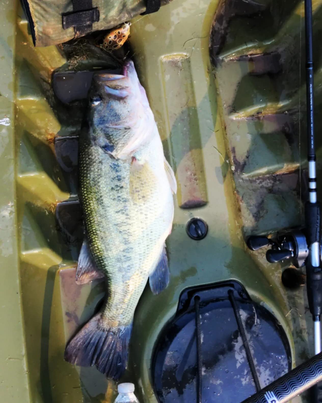 Scum Frog Launch Frog Topwater Bass Fishing Hollow Body Frog Lure with Weedless Hooks, 5/8 oz customer photo 1