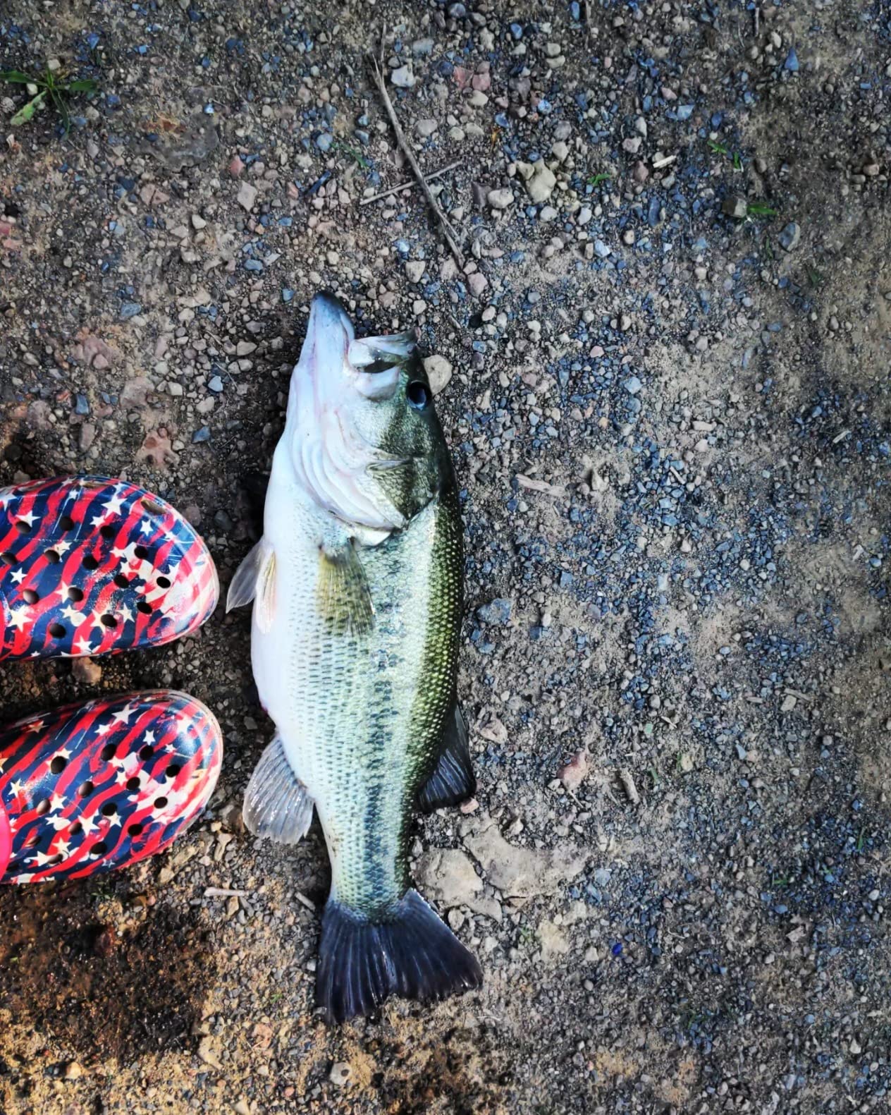 Scum Frog Launch Frog Topwater Bass Fishing Hollow Body Frog Lure with Weedless Hooks, 5/8 oz customer photo 2