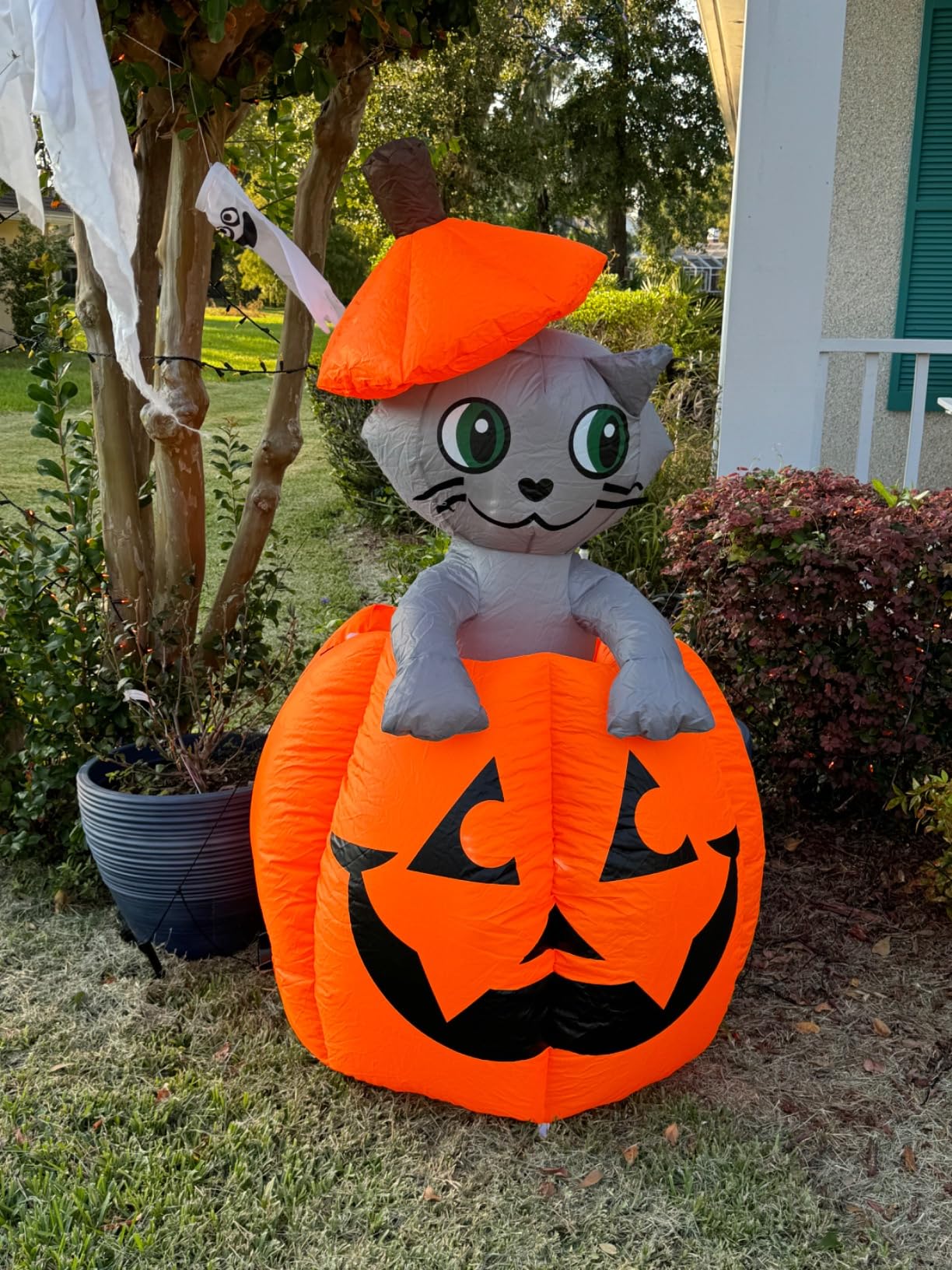 Joiedomi 5 FT Halloween Inflatables Outdoor Decorations, Animated Blow Up Cat On Pumpkin with LEDs for Outside Decor customer photo 2