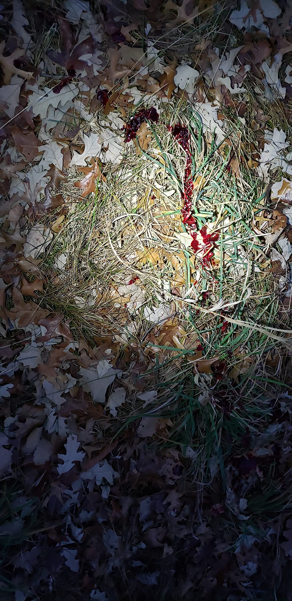 Woodhaven The Intimidator Elk Call customer photo 2