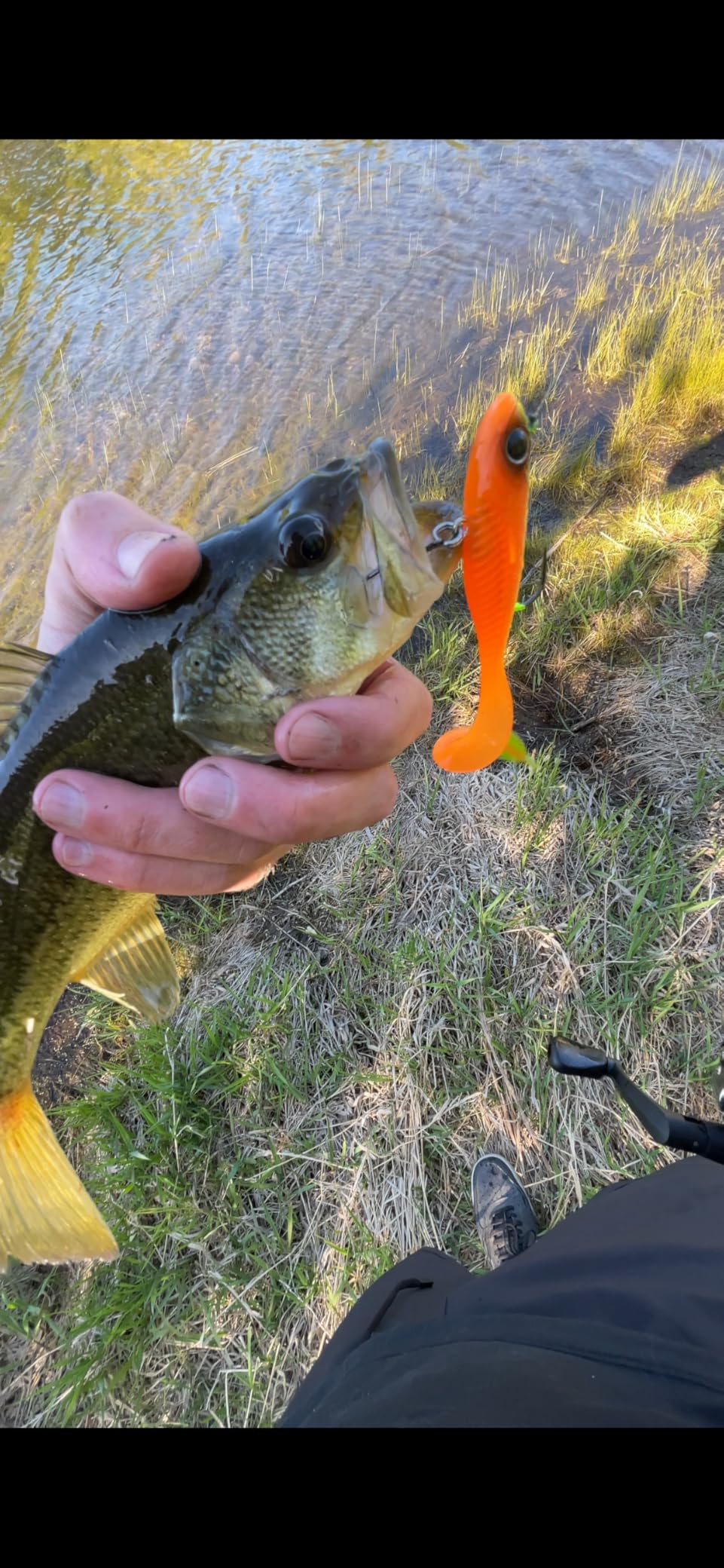 TRUSCEND Duramax TPE Soft Fishing Lures with BKK Hooks, Shrimp & Crayfish Pro Fishing Baits, Curly & Paddle Tail Lure for Trembly Sinking & Vibrating Swim, Pre-Rigged Swimbaits for Bass Trout Crappie customer photo 1