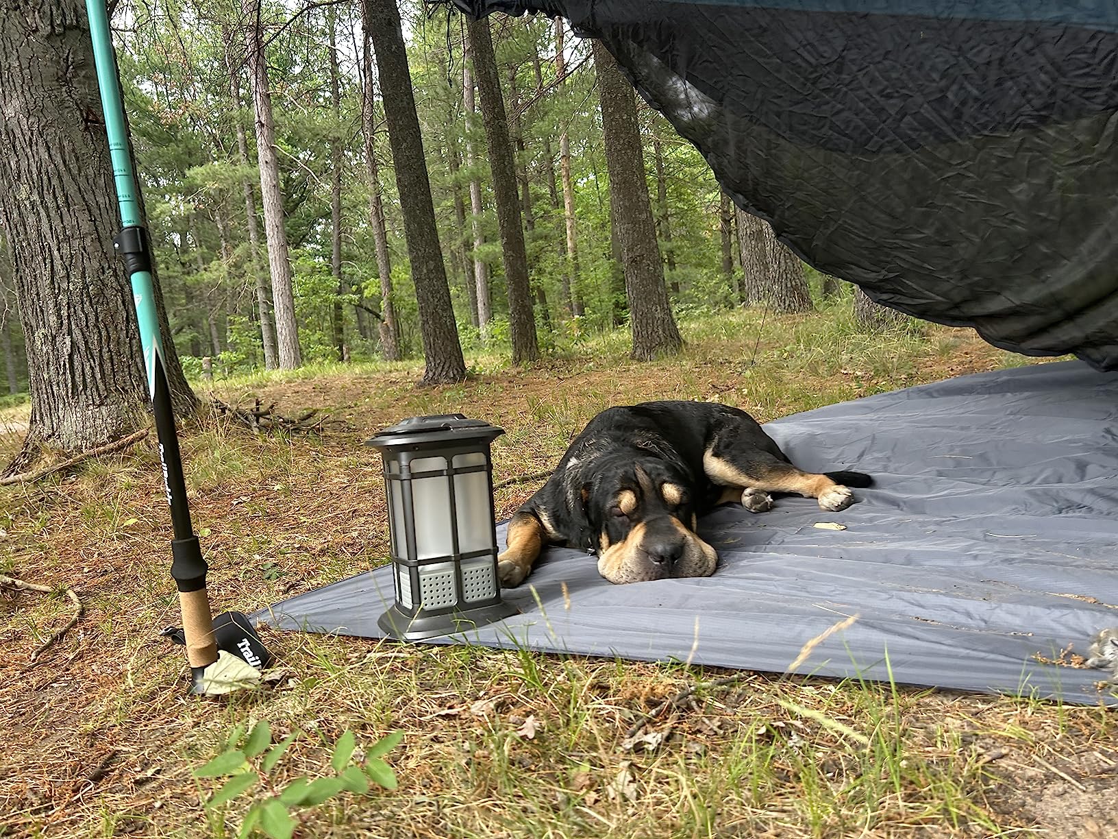Wise Owl Outfitters Camping Tarp - Waterproof Ultralight Ground Sheet, Tent Footprint & Tent Accessories for Campers, Backpackers, Hammocks & Outdoor Adventure Gear customer photo 1