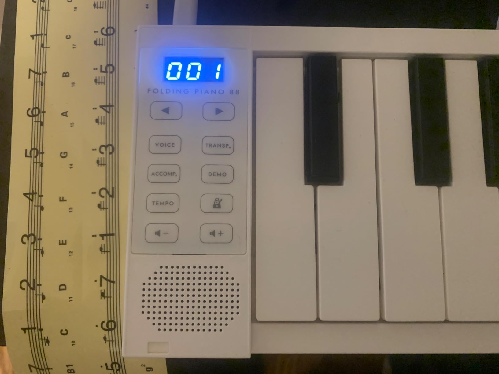 Blackstar Carry-on 88 Keys USB MIDI Controller for Portable Folding Digital Piano with Rechargeable Battery customer photo 2