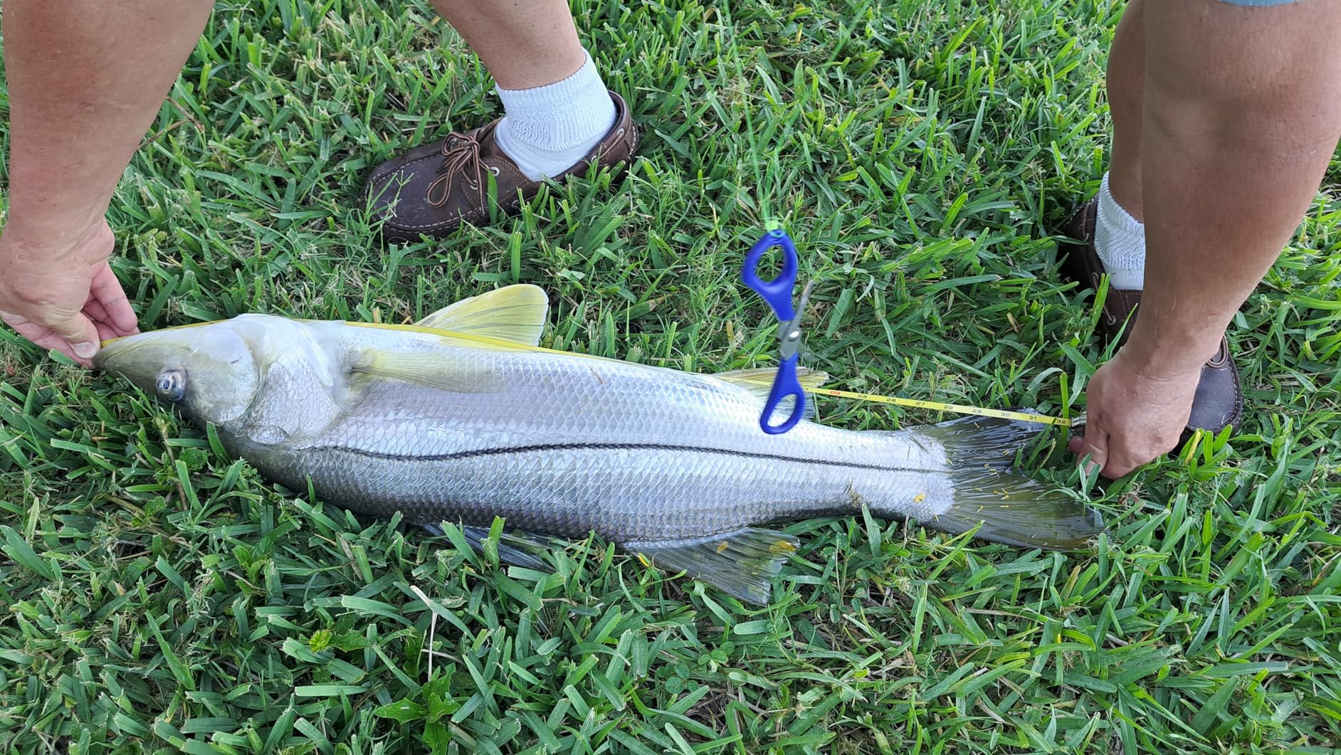 Strike King KVD 1.5 Hard Knock Fishing Lure, 3/8 oz, 3D Lifelike Eyes customer photo 2
