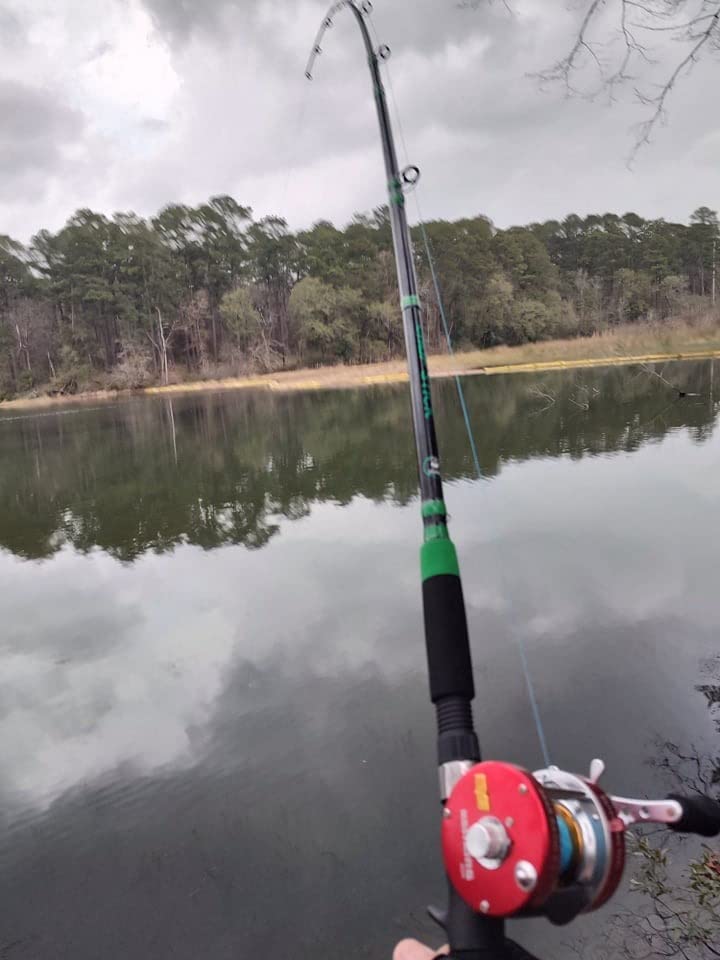 Championship Catfish Rod: 2 Piece, Medium Heavy Chop Stick, Sensitive Tip for Detecting Bites, Heavy Backbone for Hauling in Ugly Monsters, 10-50lb Line, 7'6