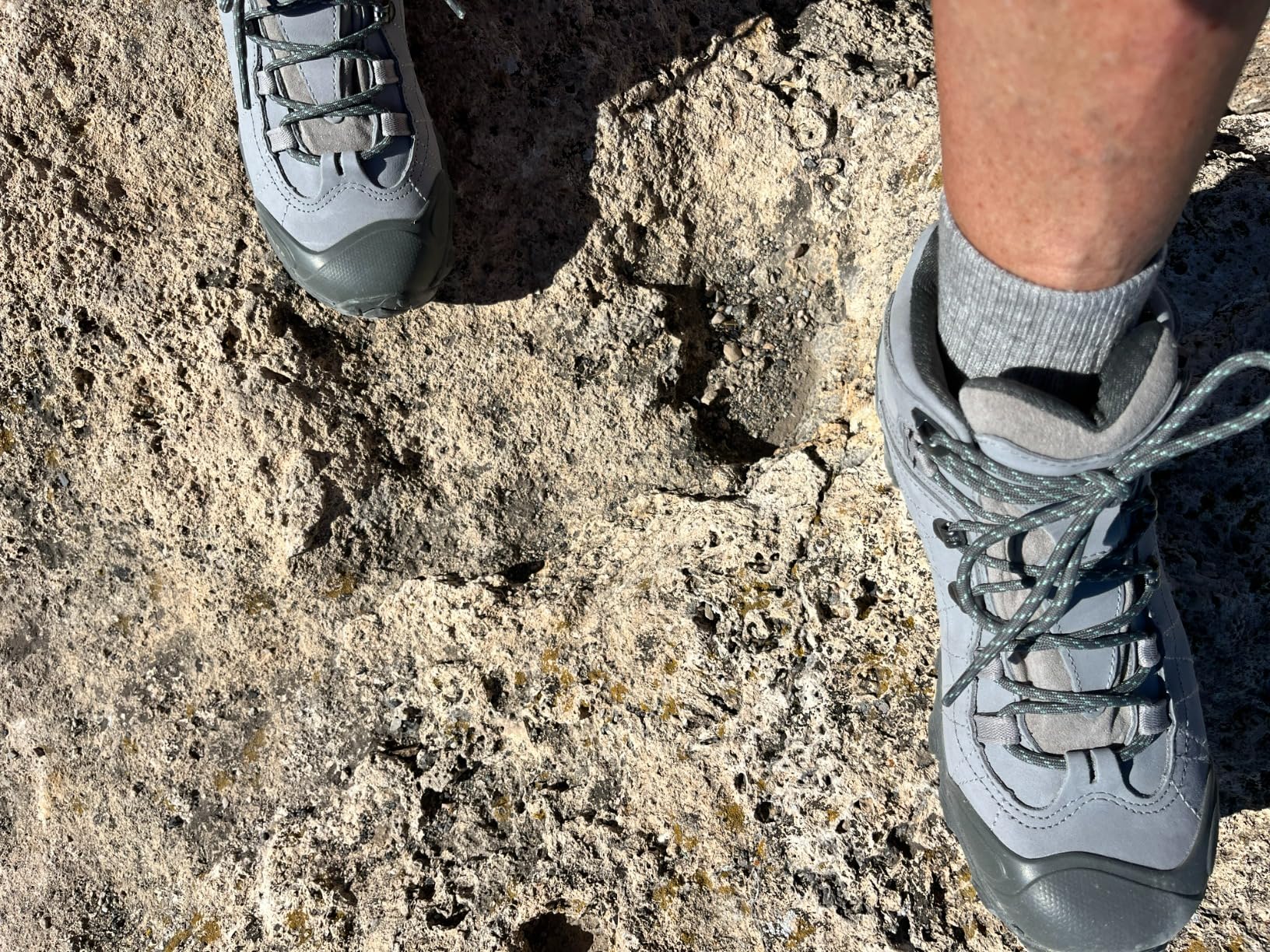 Oboz Women's Bridger Mid B-DRY Hiking Boot customer photo 2
