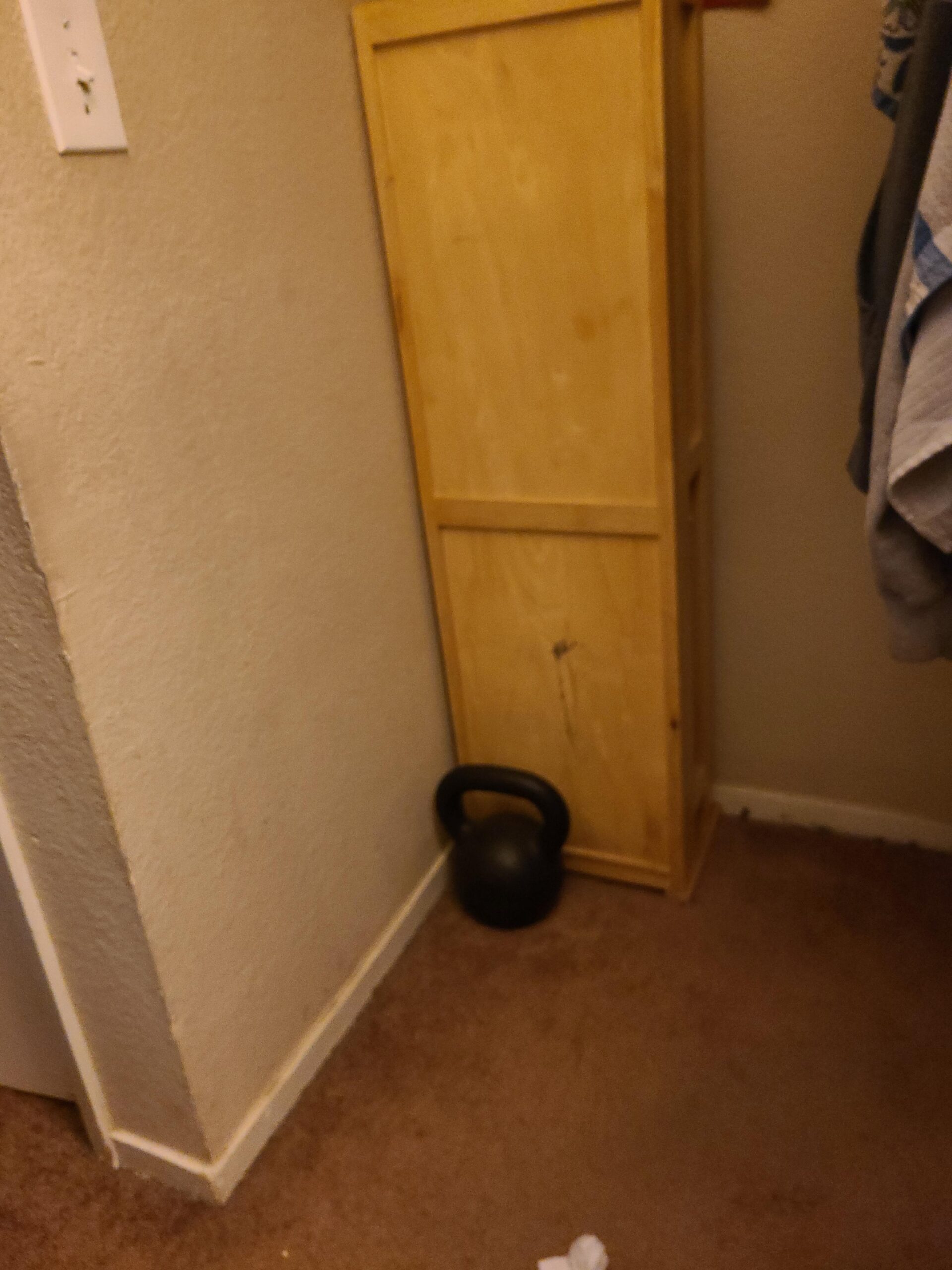 Philosophy Gym Cast Iron Kettlebell Weights customer photo 1