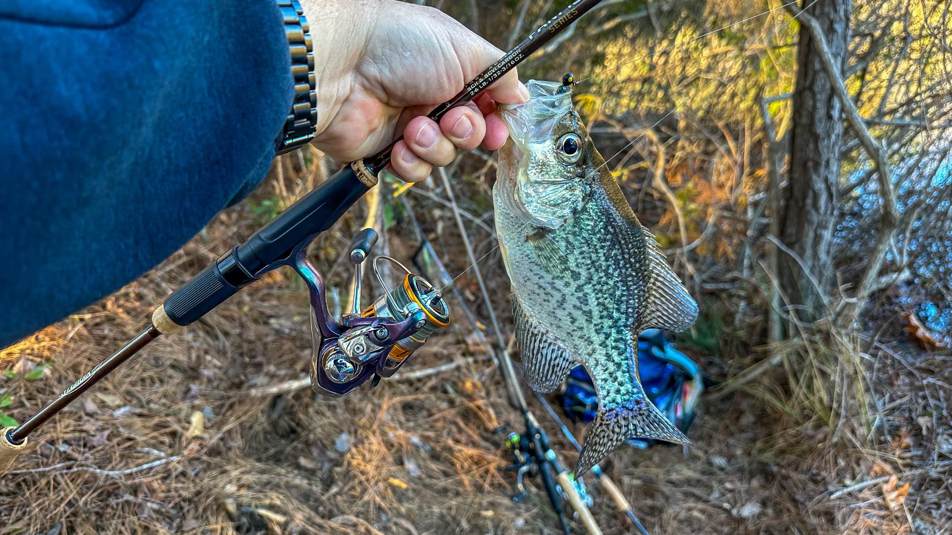 Eurotackle B-Vibe Micro Finesse Swimbait customer photo 1
