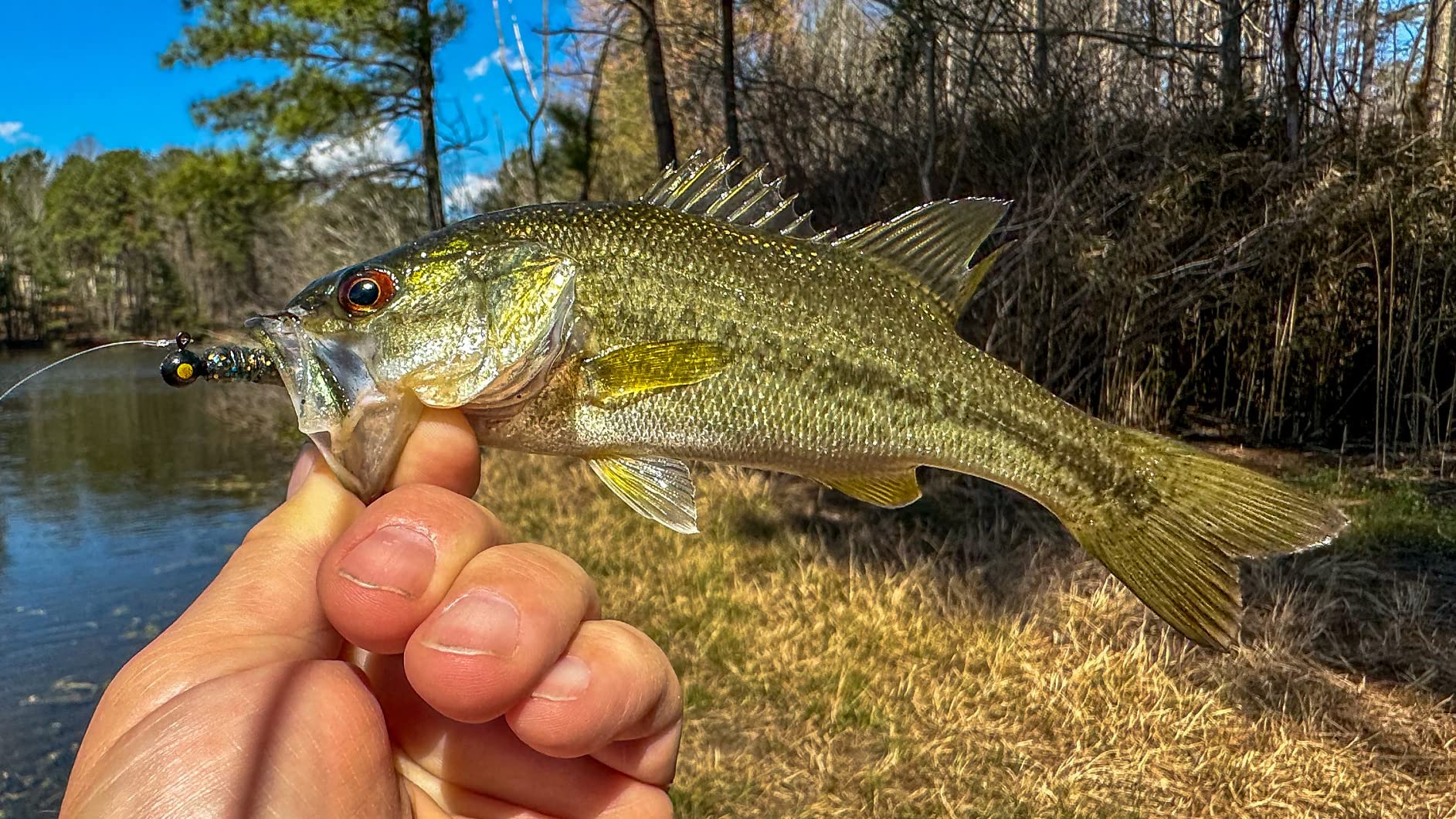 Eurotackle B-Vibe Micro Finesse Swimbait customer photo 2