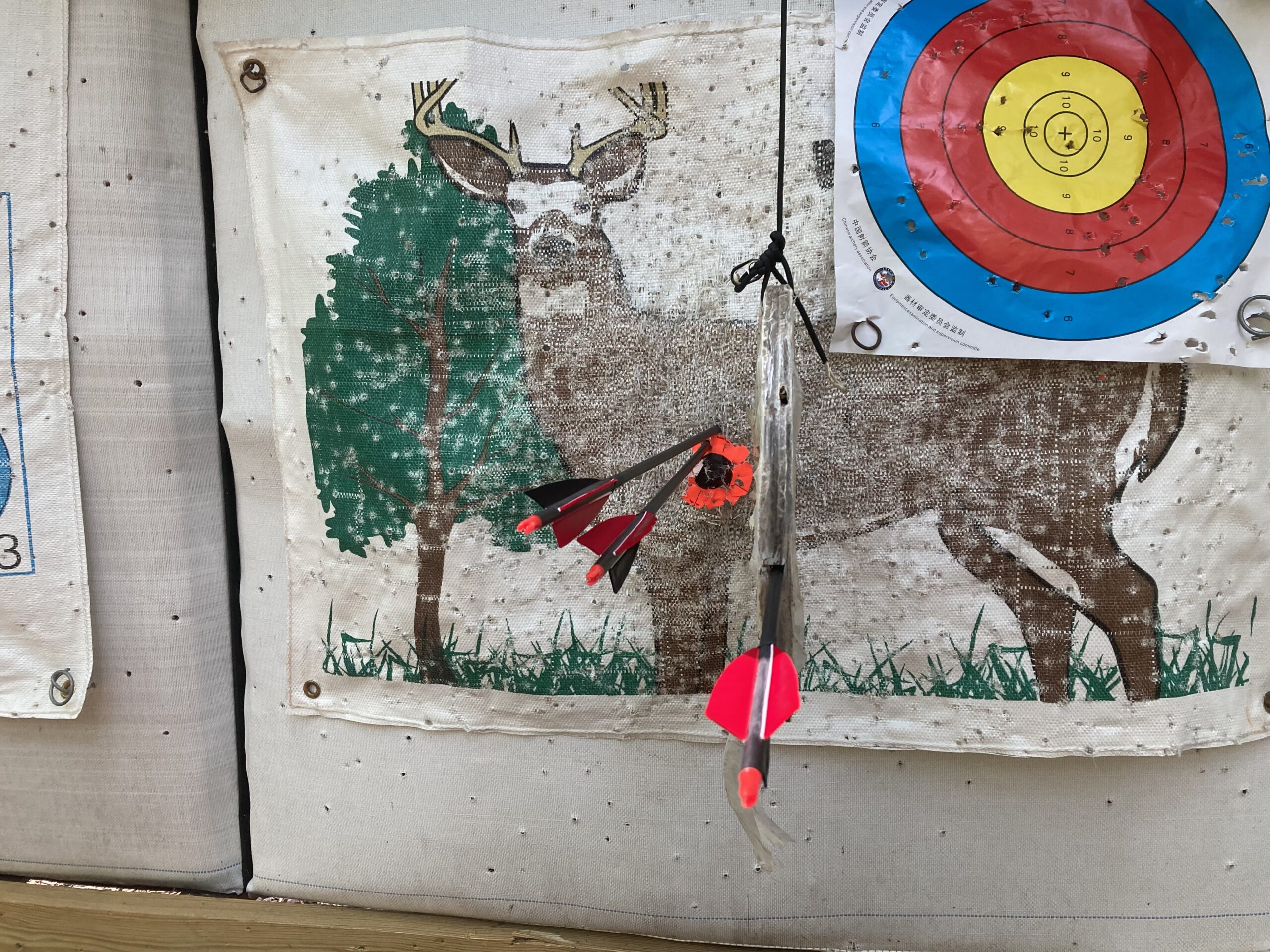 OBTOUTDOOR Archery Takedown Longbow 60inch 20lbs-60lbs Right Hand Traditional Wood Hunting Bows for Target Shooting Practice customer photo 1