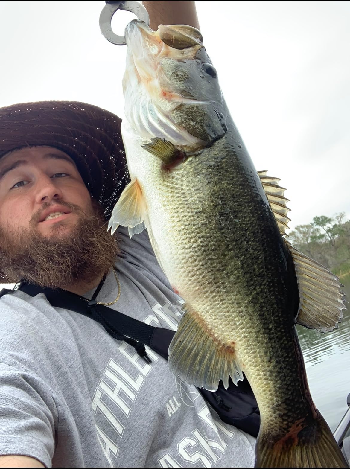 Heddon Saltwater Super Spook Jr - 3 Pack customer photo 2