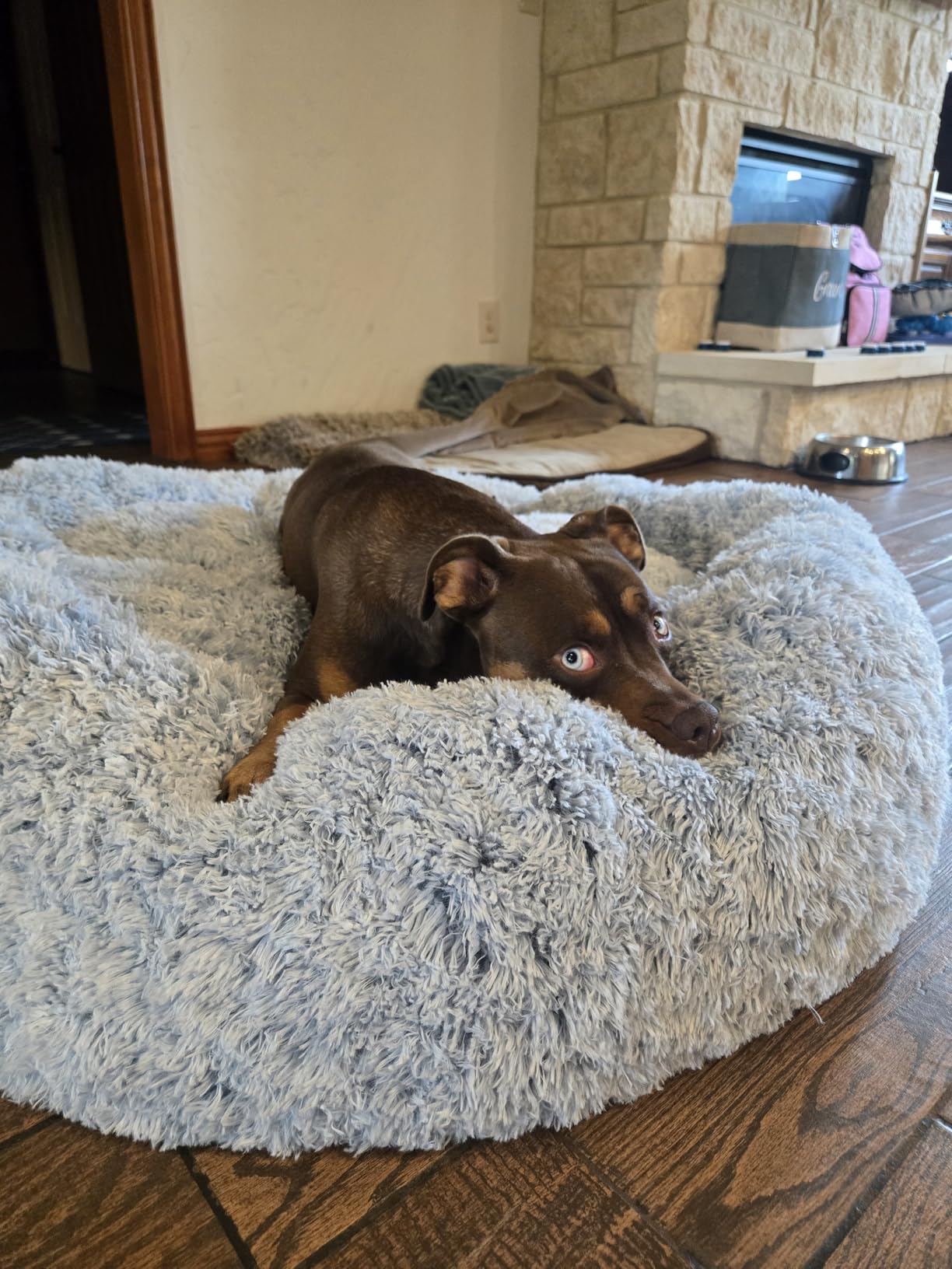 Bedfolks Calming Donut Dog Bed, 36 Inches Round Fluffy for Large Dogs, Anti-Anxiety Plush, Machine Washable (Dark Grey, Large) customer photo 1